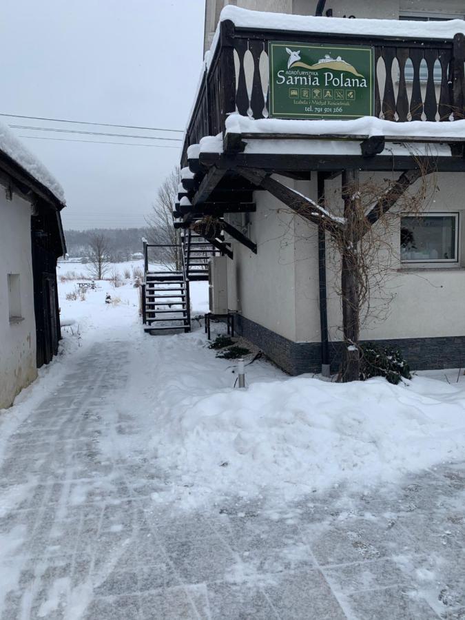Sarnia Polana Villa Kostrzyca Екстериор снимка