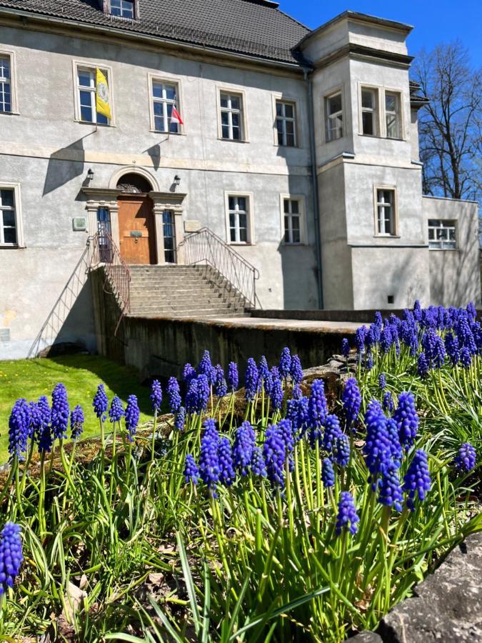 Sarnia Polana Villa Kostrzyca Екстериор снимка