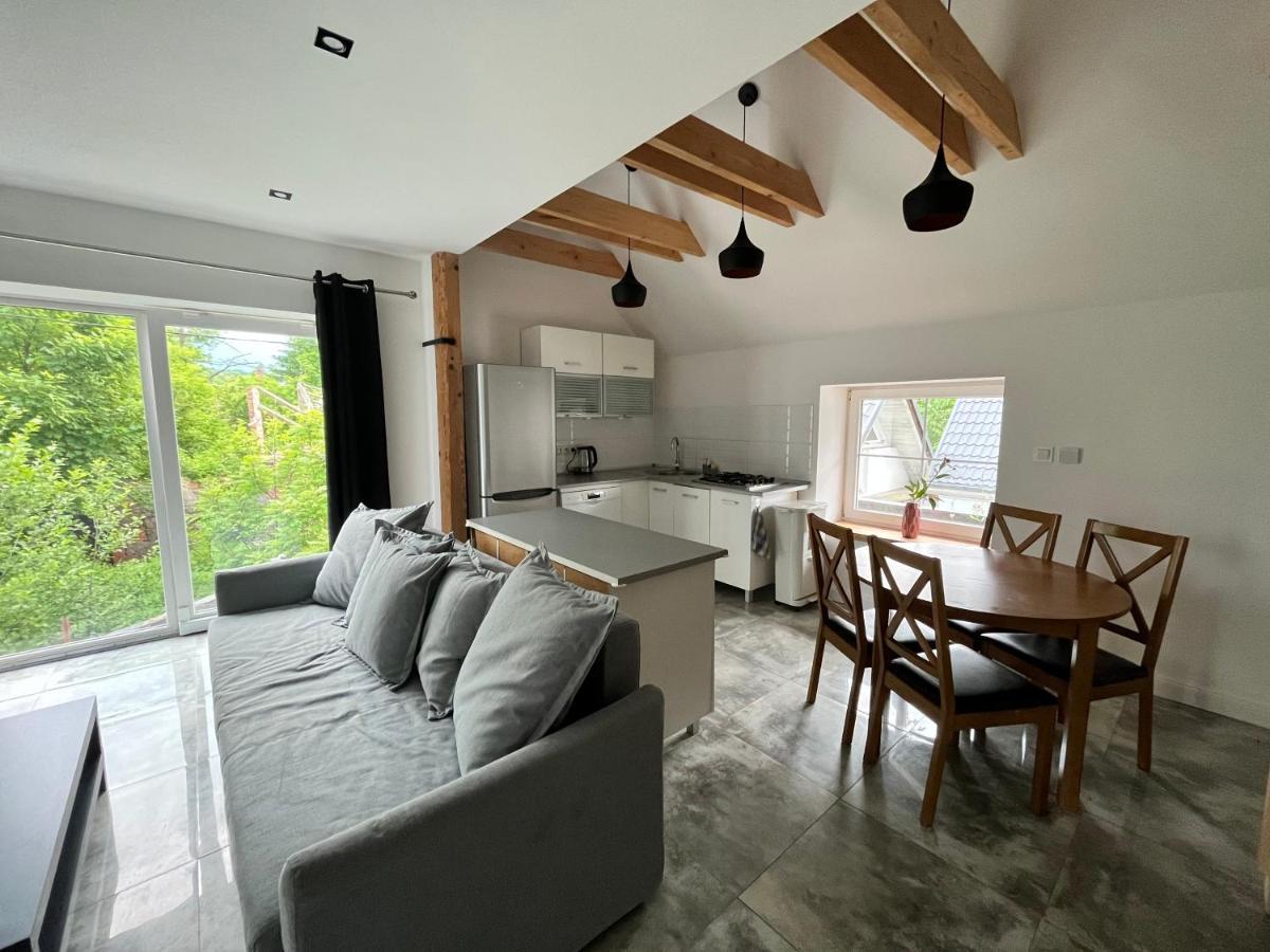 Sarnia Polana Villa Kostrzyca Екстериор снимка