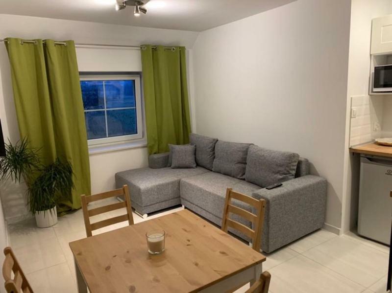 Sarnia Polana Villa Kostrzyca Екстериор снимка
